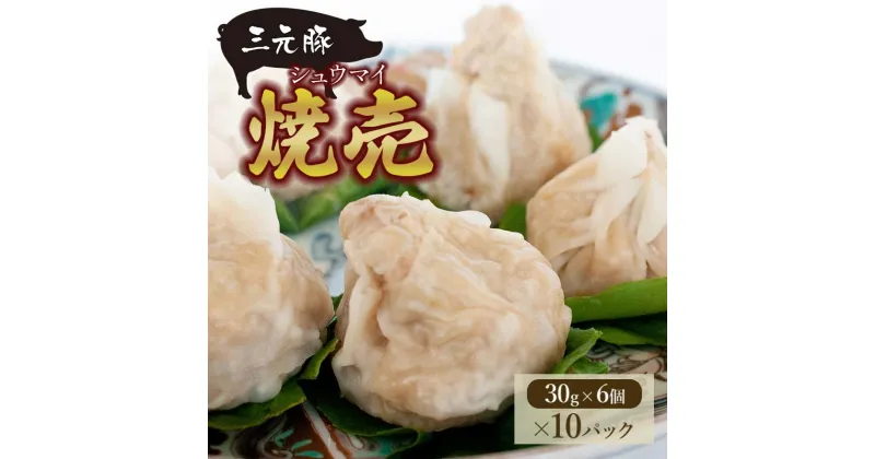 【ふるさと納税】 三元豚 焼売 シュウマイ （30g×6個入×10パック） 株式会社たませ 平田牧場 三元豚 焼売 しゅうまい 食品 中華 惣菜 おかず おつまみ