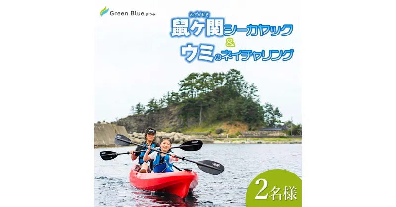 【ふるさと納税】Green Blue あつみ「鼠ヶ関　シーカヤック＆ウミのネイチャリング」