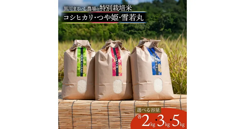 【ふるさと納税】【令和6年産】黒川まるいし農場の特別栽培米 コシヒカリ・つや姫・雪若丸　選べる容量［各2kg・3kg・5kg］