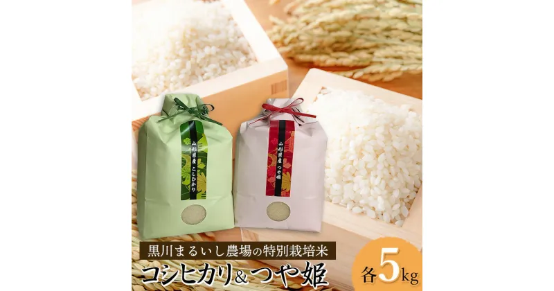 【ふるさと納税】【令和6年産】黒川まるいし農場の特別栽培米 つや姫・コシヒカリ 各5kg K-664