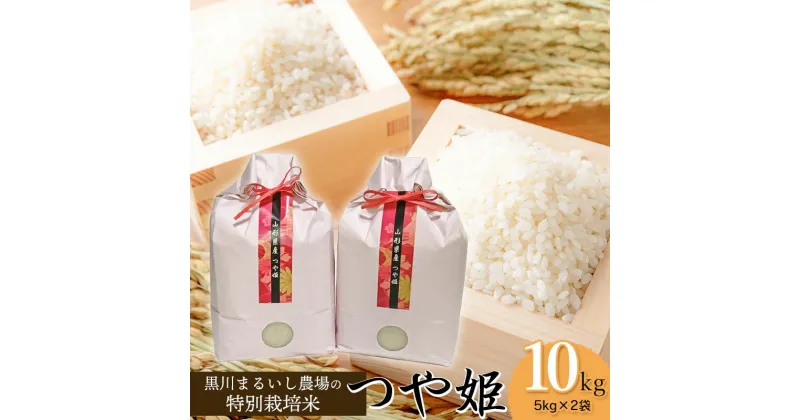 【ふるさと納税】【令和6年産】黒川まるいし農場の特別栽培米 つや姫 10kg(5kg×2袋) 精米 K-667