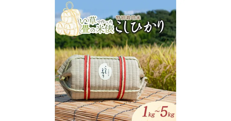 【ふるさと納税】【令和6年産】い草で作った畳の米俵 特別栽培米 コシヒカリ 選べる容量［1kg・5kg］　K-647 K-699