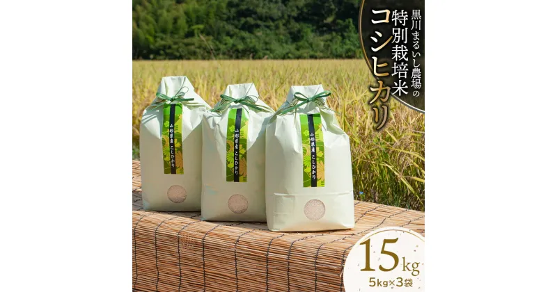 【ふるさと納税】【令和6年産】黒川まるいし農場の特別栽培米 コシヒカリ 15kg（5kg×3袋） K-696