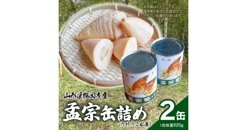 【ふるさと納税】令和6年産孟宗使用　山形県鶴岡産　孟宗缶詰（たけのこ水煮缶）（内容総量820g）2個セット