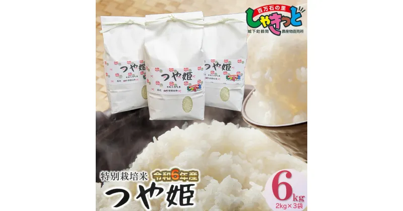 【ふるさと納税】【令和6年産】特別栽培米 つや姫 精米 6kg（2kg×3袋）山形県庄内産 K-642 | 鶴岡市 返礼品 白米 お米 おこめ つやひめ ブランド米 名産品 6キロ お取り寄せ ご当地 特栽