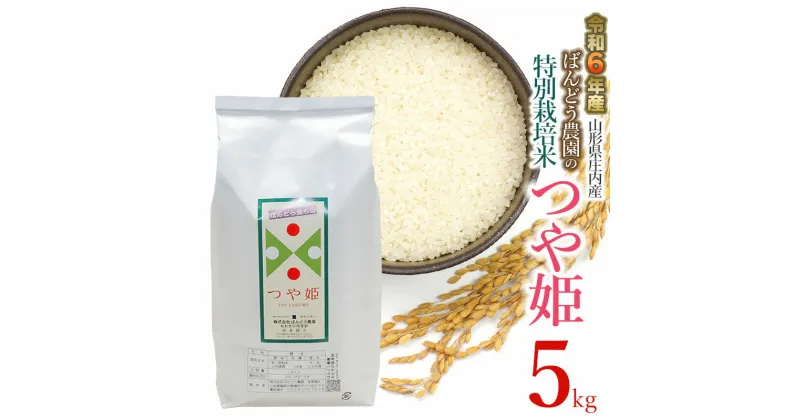 【ふるさと納税】【令和6年産 先行予約】ばんどう農園の特別栽培米つや姫 5kg　K-630