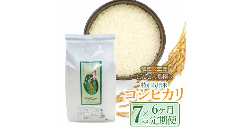 【ふるさと納税】【令和6年産 先行予約】【定期便6ヶ月】ばんどう農園の特別栽培米 コシヒカリ7kg×6ヶ月　K-630