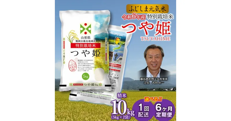 【ふるさと納税】【令和6年産 新米】 特別栽培 つや姫 ふじしま元気米 10kg(5kg×2)　選べる［1回配送］［6ヶ月定期便］