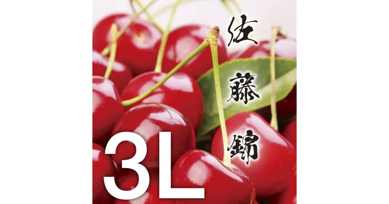 【ふるさと納税】【令和7年産先行予約】《訳あり》さくらんぼ 佐藤錦 大粒3Lサイズ！バラ詰め500g　うまい庄内（有限会社意匠工房）