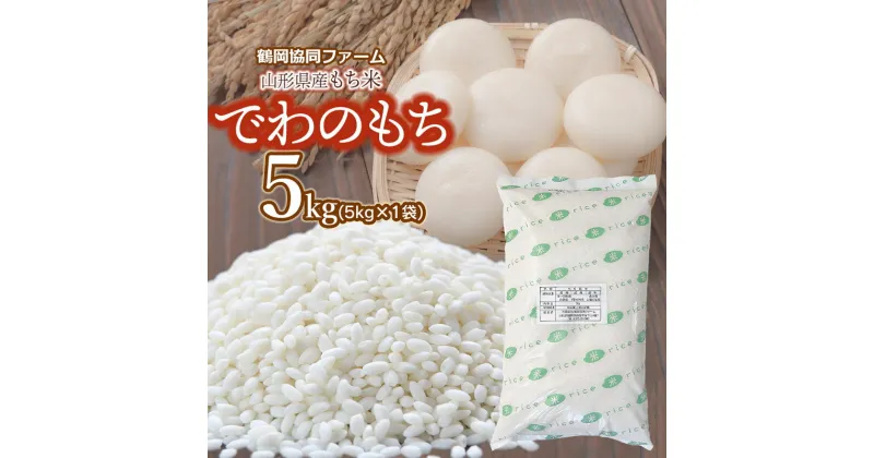 【ふるさと納税】令和6年産 山形県産もち米「でわのもち」5kg（5kg×1袋） 餅　鶴岡協同ファーム