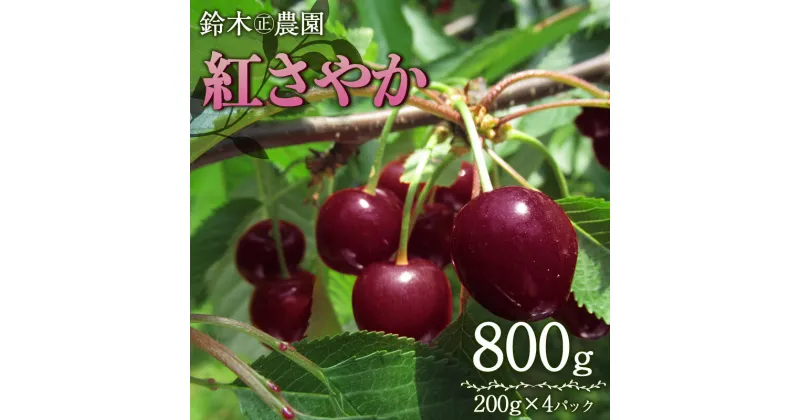 【ふるさと納税】【令和7年産 先行予約】さくらんぼ 紅さやか M～Lサイズ混合　バラ詰め800g(200g×4p)　山形県 鶴岡産