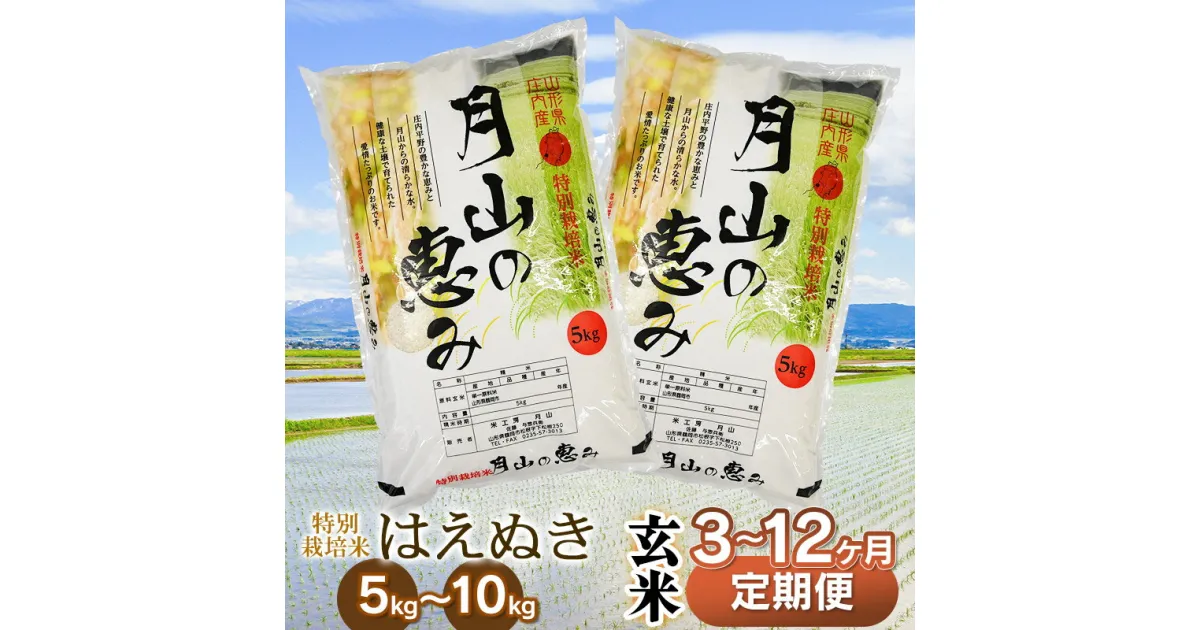 【ふるさと納税】 令和6年産【定期便】 特別栽培米 はえぬき【玄米】 選べる容量（5kg・10kg）・発送回数（3・6・12回） 毎月1回中旬発送 | 山形県 鶴岡市 ブランド米 特産品 お取り寄せ お米 おこめ