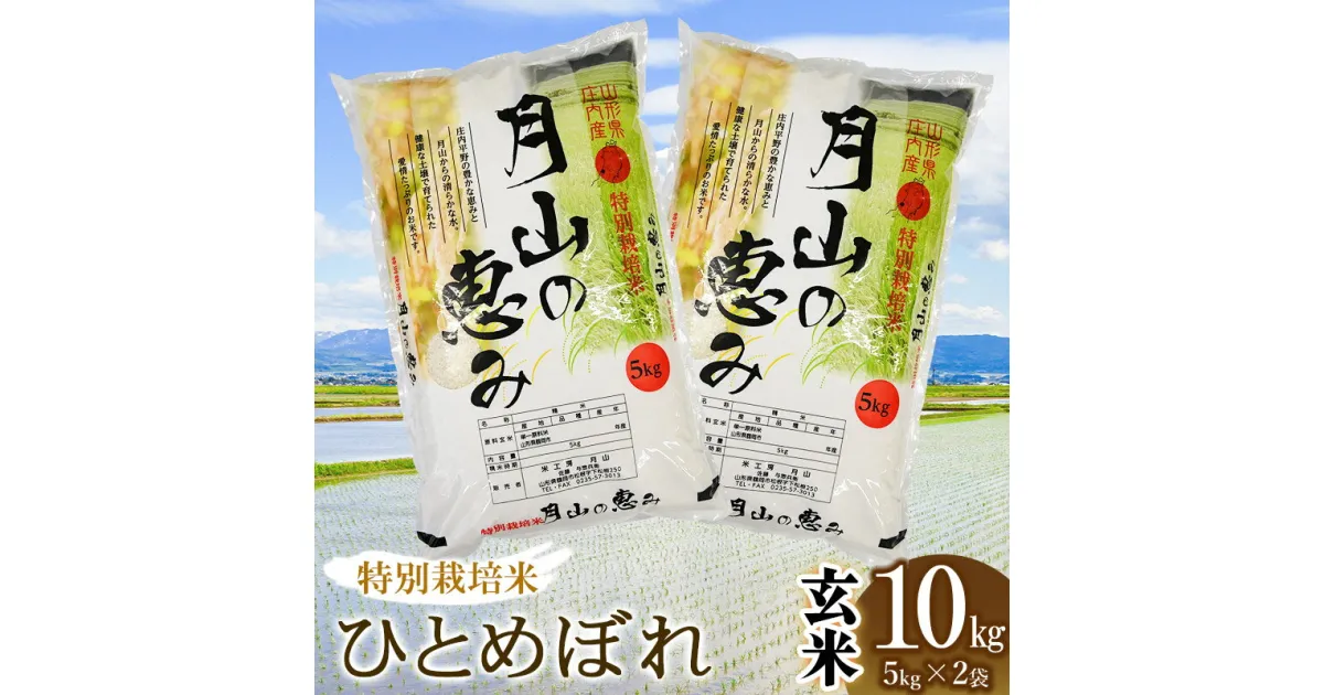 【ふるさと納税】【令和6年産】特別栽培米 ひとめぼれ【玄米】10kg（5kg×2袋） 2024年 | 山形県 鶴岡市 ブランド米 お取り寄せ ご当地 お米 おこめ 特栽 コメ 単一米 10キロ