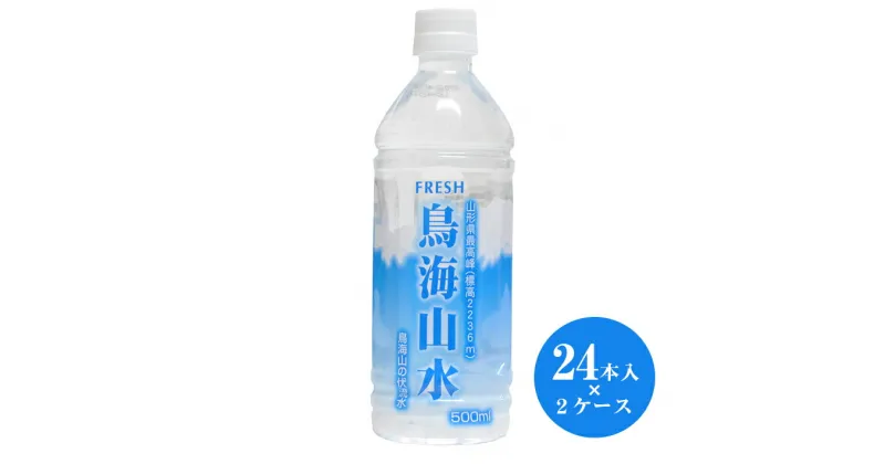 【ふるさと納税】鳥海山水 2ケース 500ml×24本×2ケース 計48本 賞味期限6年 保存用 備蓄用 ナチュラルミネラルウォーター