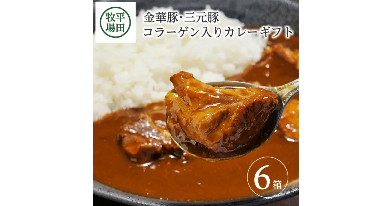 【ふるさと納税】平田牧場 日本の米育ち 金華豚・三元豚 コラーゲン入りカレーギフト 6箱入り（各3箱入り）