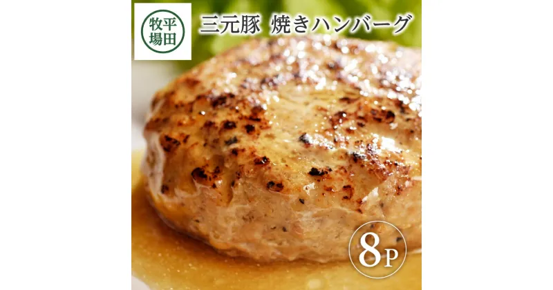 【ふるさと納税】平田牧場 日本の米育ち三元豚 焼きハンバーグ 8個入 冷凍便 ※離島発送不可