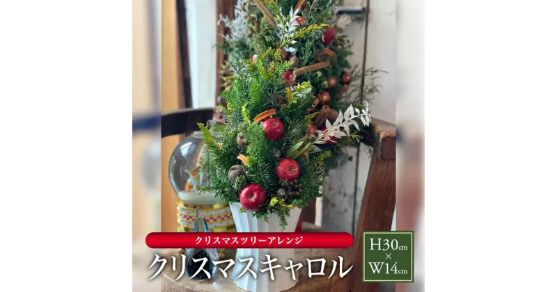 【ふるさと納税】クリスマスツリーアレンジ 2024「クリスマスキャロル」 2024年12月7日〜12月20日にお届け ※着日指定不可 東北 山形県 酒田市 庄内 通年 飾り 玄関 室内 リビング ドライ 香り おうち時間 観葉植物 インテリアグリーン LotusGarden