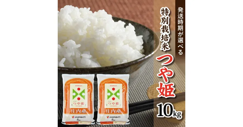 【ふるさと納税】特別栽培米 つや姫 5kg×2袋 計10kg 令和6年産米 山形県庄内産 ご希望の時期頃お届け 東北 山形県 酒田市 庄内地方 庄内平野 お米 精米 白米 ブランド米 庄内米 ごはん ご飯 農協 JA 発送時期が選べる