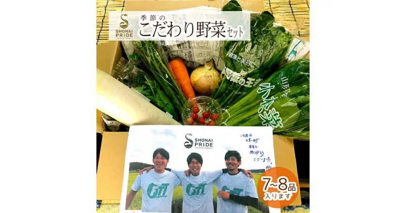 【ふるさと納税】SHONAI PRIDE 季節のこだわり野菜セット 野菜7〜8品 冷蔵便 ※離島発送・着日指定不可