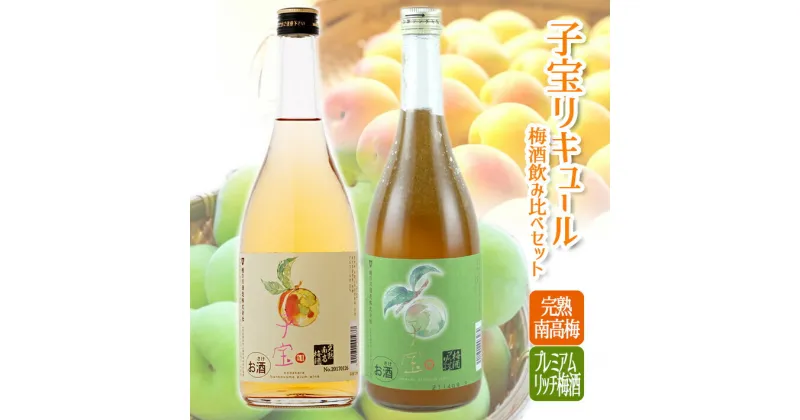 【ふるさと納税】子宝リキュール 梅酒飲み比べセット 完熟南高梅 プレミアムリッチ梅酒 720ml×2本 子宝 リキュール 梅 南高梅 梅酒