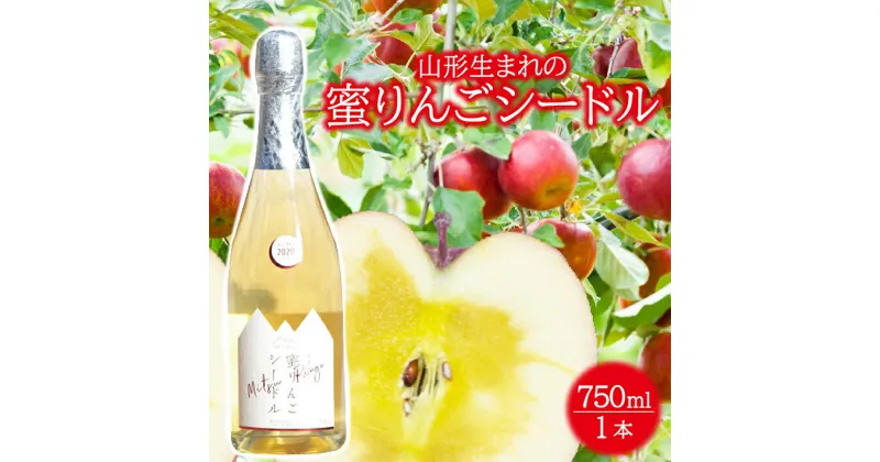 【ふるさと納税】蜜りんごシードル 750ml×1本 酒 りんご リンゴ シードル 果実酒 発泡果実酒 東北 山形県 酒田市 庄内