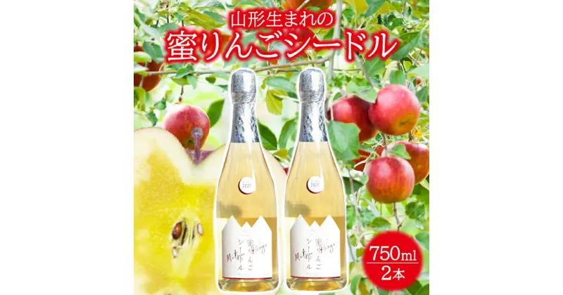 【ふるさと納税】蜜りんごシードル 750ml×2本 酒 りんご リンゴ シードル 果実酒 発泡果実酒 東北 山形県 酒田市 庄内 セット