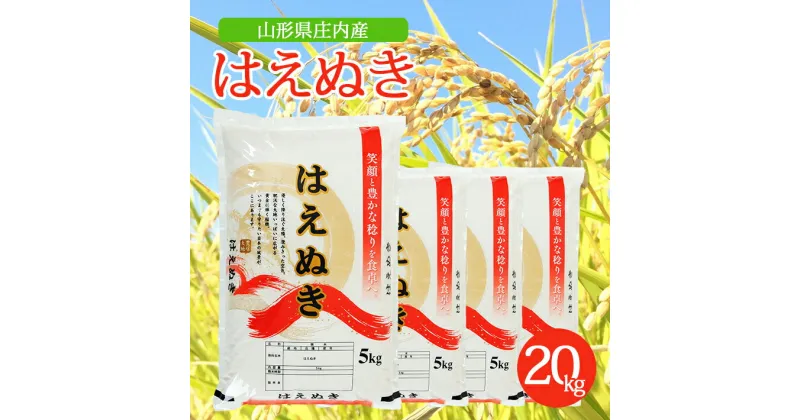 【ふるさと納税】はえぬき 5kg×4袋 計20kg 令和6年産米 山形県庄内産 東北 山形県 酒田市 庄内地方 米 精米 白米 お米 ごはん ご飯 庄内米