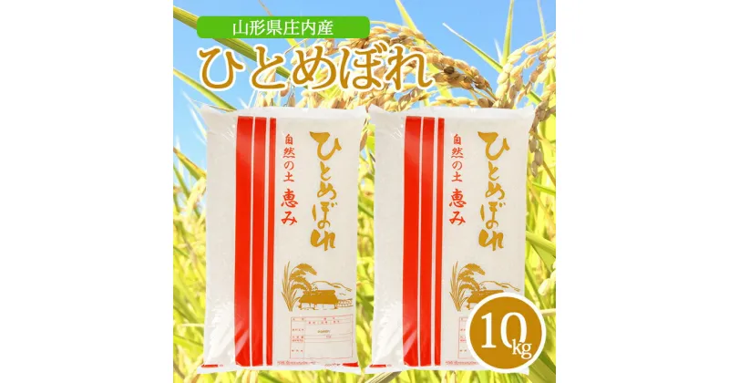 【ふるさと納税】ひとめぼれ 5kg×2袋 計10kg 令和6年産米 山形県庄内産 東北 山形県 酒田市 庄内地方 米 精米 白米 お米 ごはん ご飯 庄内米