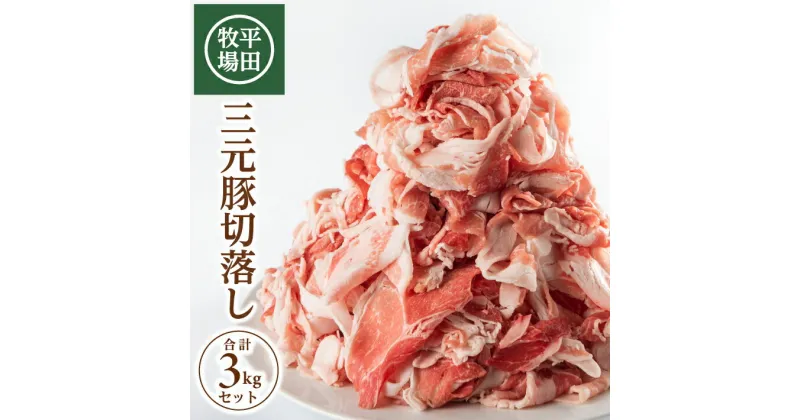 【ふるさと納税】平田牧場 三元豚切落し 3kg （600g×5パック） チャック付き 冷凍便 ※離島発送不可 平牧 豚肉 三元豚 切落し 小分け