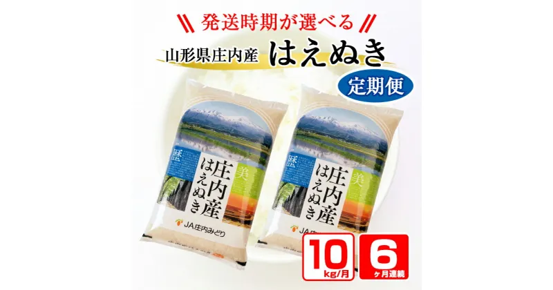 【ふるさと納税】≪6ヶ月定期便≫ はえぬき 10kg×6ヶ月 計60kg 山形県庄内産 毎月中旬にお届け 米 お米 精米 白米 定期便 農協 JA