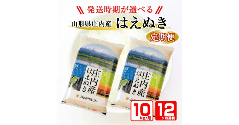 【ふるさと納税】≪12ヶ月定期便≫ はえぬき 10kg×12ヶ月 計120kg 山形県庄内産 毎月中旬にお届け 米 お米 精米 白米 定期便 農協 JA