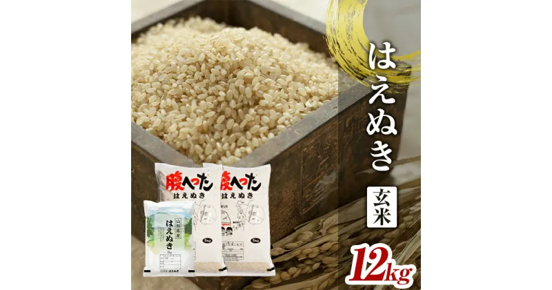 【ふるさと納税】はえぬき 玄米 計12kg 5kg×2袋 2kg×1袋 令和6年産 山形県酒田産 東北 山形県 酒田市 庄内地方 庄内平野 庄内米 お米 ごはん ご飯 小分け