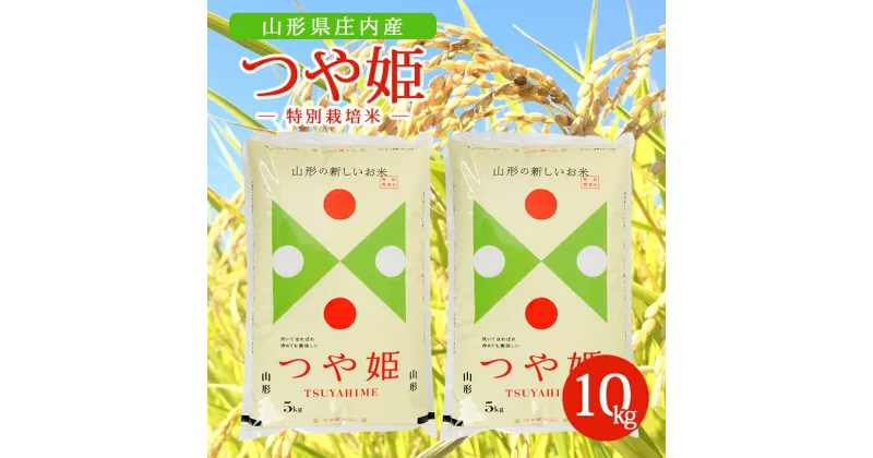 【ふるさと納税】特別栽培米つや姫 5kg×2袋 計10kg 令和6年産米 山形県庄内産 東北 山形県 酒田市 庄内地方 特別栽培米 米 精米 白米 お米 ごはん ご飯 庄内米