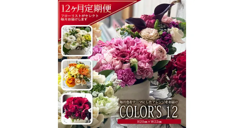 【ふるさと納税】≪12ヶ月定期便≫ 色で飾るフラワーアレンジ 「COLOR’S12」 年12回 お申込み翌月から毎月お届け 花