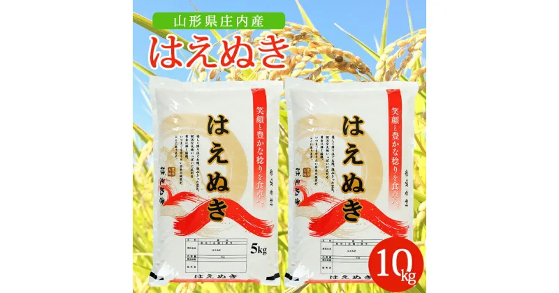 【ふるさと納税】はえぬき 5kg×2袋 計10kg 令和6年産米 山形県庄内産 東北 山形県 酒田市 庄内地方 米 精米 白米 お米 ごはん ご飯 庄内米