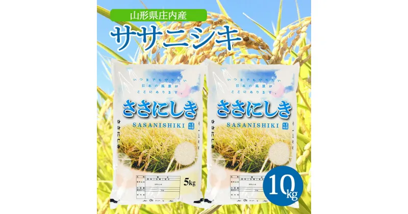 【ふるさと納税】ササニシキ 5kg×2袋 計10kg 令和6年産米 山形県庄内産 東北 山形県 酒田市 庄内地方 米 精米 白米 お米 ごはん ご飯 庄内米