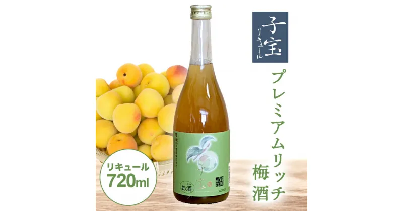 【ふるさと納税】 子宝リキュール プレミアムリッチ梅酒 720ml×1本 東北 山形県 酒田市 庄内地方 子宝 フルーツ リキュール 梅 南高梅 お酒 楯の川酒造 楯野川