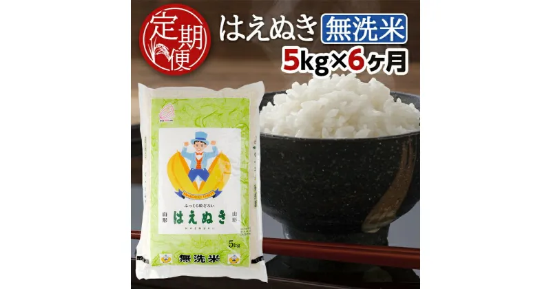 【ふるさと納税】≪6ヶ月定期便≫ 無洗米 はえぬき 5kg×6ヶ月連続 合計30kg 山形県産 毎月下旬にお届け 酒田市 お米 精米 白米 連続定期便 簡単 手軽 東北食糧 BG無洗米 HACCP