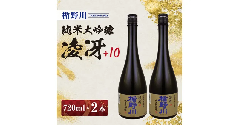 【ふるさと納税】≪山形県内限定流通品≫ 楯野川 純米大吟醸 凌冴+10 720ml 2本セット ※着日指定不可 酒 日本酒