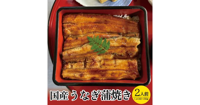 【ふるさと納税】国産うなぎ蒲焼き 2人前（1人前：140g～150g） 冷凍便 ※着日指定・離島発送不可 国産 うなぎ 蒲焼き 東北 山形県 酒田市 井筒