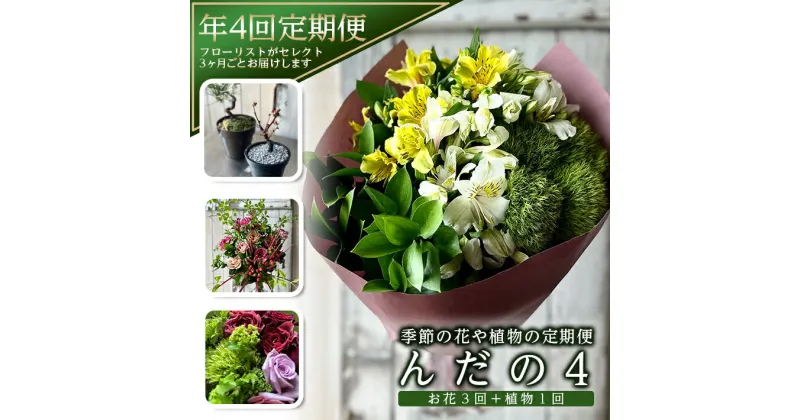 【ふるさと納税】≪4回定期便≫ お花や緑の定期便 「季節の花や植物の定期便 んだの4」 年4回 お申込み翌月から3ヶ月ごと4回のお届け ※離島発送不可