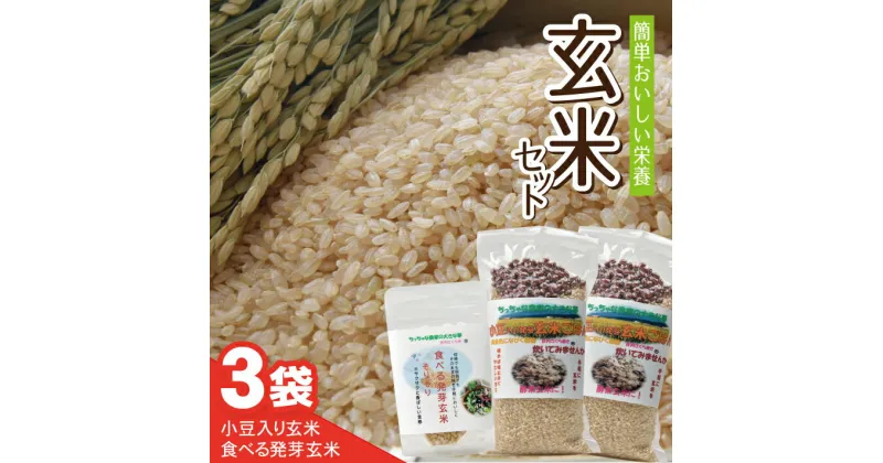 【ふるさと納税】小豆入り玄米2合(小豆を含む300g)×2袋 食べる発芽玄米 30g×1袋 ちっちゃな農家の大きな夢・手軽に玄米を！ 玄米セット山形県 酒田市 庄内地方 庄内平野 玄米 手軽 健康 酵素 発酵