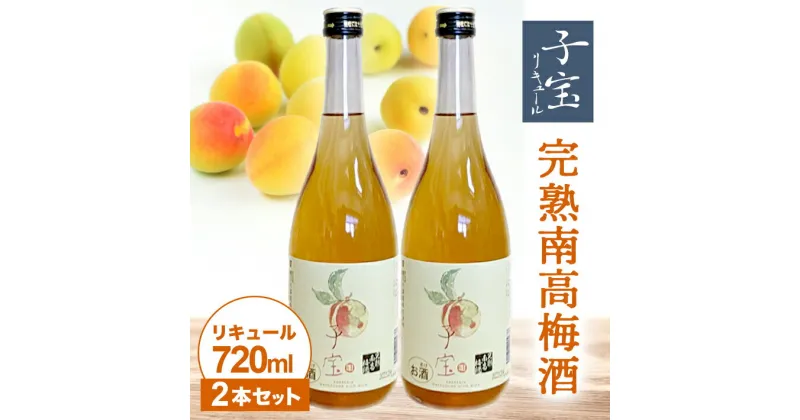 【ふるさと納税】子宝リキュール 完熟南高梅酒 720ml×2本 東北 山形県 酒田市 庄内地方 子宝 フルーツ リキュール 梅 南高梅 完熟 お酒 楯の川酒造 楯野川