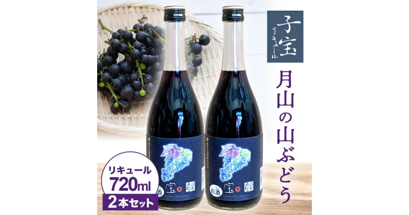 【ふるさと納税】子宝リキュール 月山の山ぶどう 720ml×2本 東北 山形県 酒田市 庄内地方 お酒 楯の川酒造 楯野川 山葡萄 フルーツ くだもの