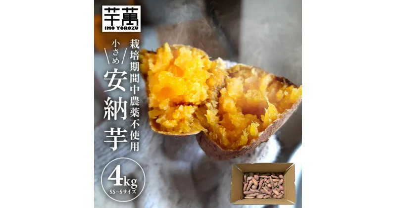 【ふるさと納税】安納芋 小さめ SS～Sサイズ 4kg 栽培期間中農薬不使用 山形県酒田産 ※着日指定不可 ねっとり しっとり さつまいも ブランド芋 冬 国産 無農薬 芋萬