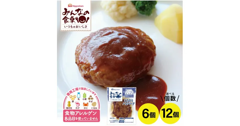 【ふるさと納税】みんなの食卓 ごちそうハンバーグ 選べる個数 6個 12個 1個あたり140g 冷凍便 ※離島発送不可 東北 山形県 酒田市 庄内地方 東北日本ハム アレルゲンフリー 簡単調理 特定原材料8品不使用 食物アレルギー 安心