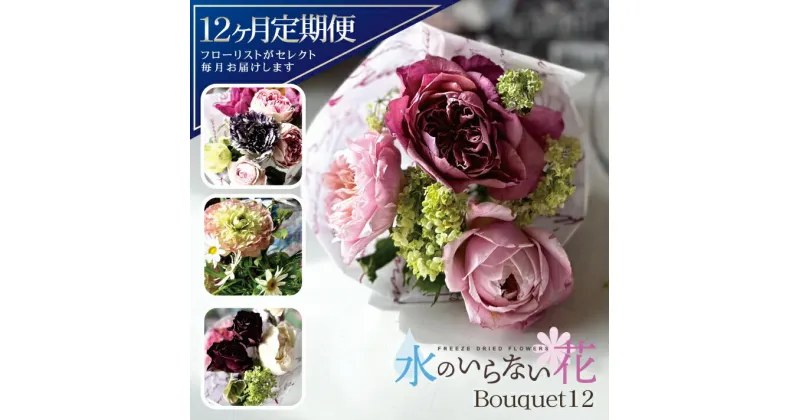 【ふるさと納税】≪12ヶ月定期便≫ 水のいらない花 ゼロフラワー定期便 「Bouquet12」 お申し込み翌月下旬より12ヶ月連続お届け 東北 山形県 酒田市 庄内 LotusGarden フリーズドライ専門店 Next Level FLOWERS Japan フリーズドライフラワー 花束 ブーケ