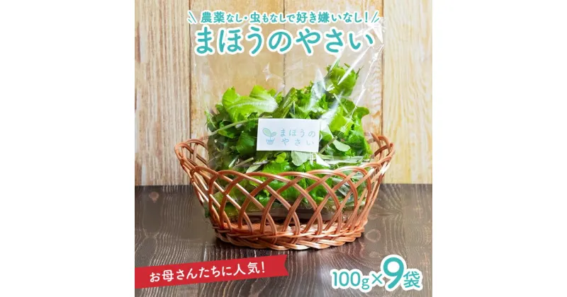 【ふるさと納税】まほうのやさい すこやかセット ベビーリーフ 100g×9袋 計900g 山形県酒田産 冷蔵便 ※離島発送・着日指定不可 完全室内型水耕栽培 農薬不使用 新鮮 長持ち 安心 安全 すこやかファーム 東北 酒田市 庄内 葉物野菜 春 夏 秋 冬