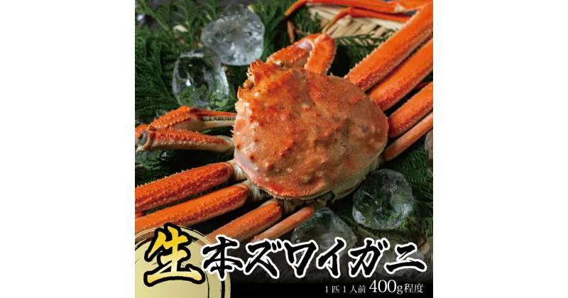 【ふるさと納税】生・本ズワイガニ 1匹 400g程度 酒田沖 10月中旬～12月下旬頃お届け 冷蔵便 ※着日指定・離島発送不可（沖縄県を含む） 東北 山形県 庄内地方 飛島 日本海 カニ 蟹 かに 海産物 シーフード 海鮮 新鮮 鮮魚 まるごと 生食 刺身 ボイル 焼き 期間限定