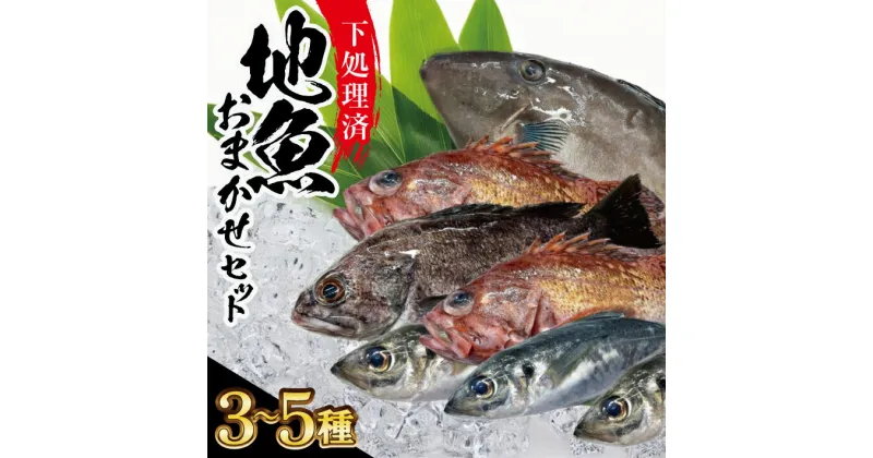 【ふるさと納税】下処理済み 地魚おまかせセット 3～5種類入り 計1kg以上 冷蔵便 ※着日指定・離島（沖縄県を含む）への発送不可 東北 山形県 酒田市 鮮魚 詰め合わせ 産地直送 セット